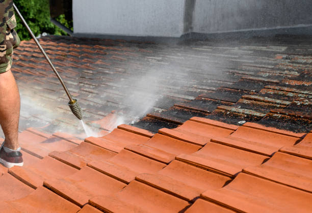 Best Roof Power Washing Services  in Robinwood, MD