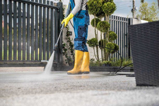 Best Affordable Power Washing  in Robinwood, MD