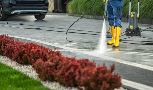 Best Local Pressure Washing Services  in Robinwood, MD